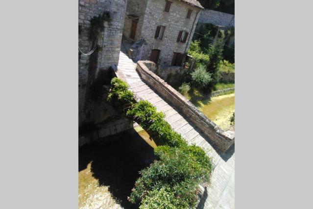 La Casa Della Nonna Bed and Breakfast Gubbio Esterno foto